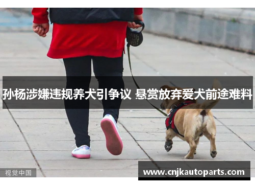 孙杨涉嫌违规养犬引争议 悬赏放弃爱犬前途难料